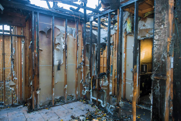 Professional Smoke Damage Restoration technician working in Henderson, MN